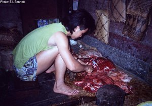 Hunter cutting up bearded pig meat